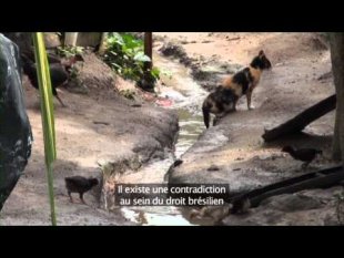 Vidéo - La lutte des sans-terre au Brésil