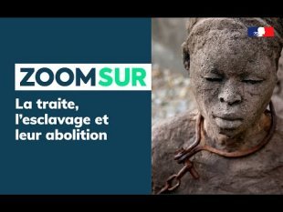 La traite, l'esclavage et leur abolition - Vidéo