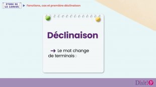 La première déclinaison - Leçon animée