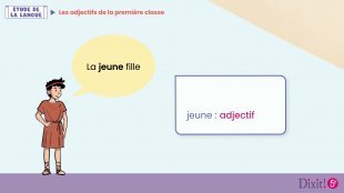 Les adjectifs de la première classe - Leçon animée