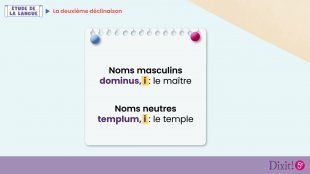 La deuxième déclinaison - Leçon animée