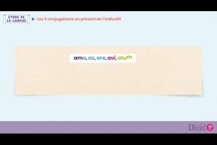 Le présent de l'indicatif - Leçon animée
