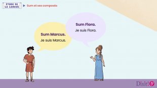 Les composés de Sum - Leçon animée
