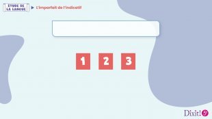 L'imparfait de l'indicatif - Leçon animée