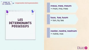 L'expression de la possession - Leçon animée